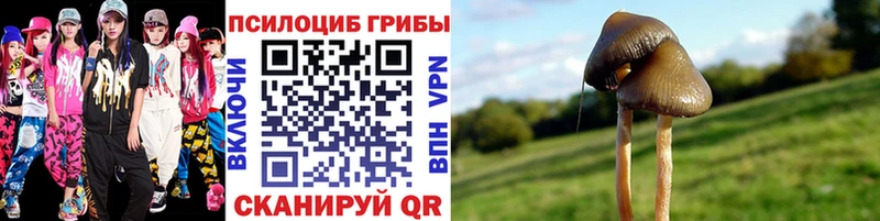 Галлюциногенные грибы мухоморы  Таруса 